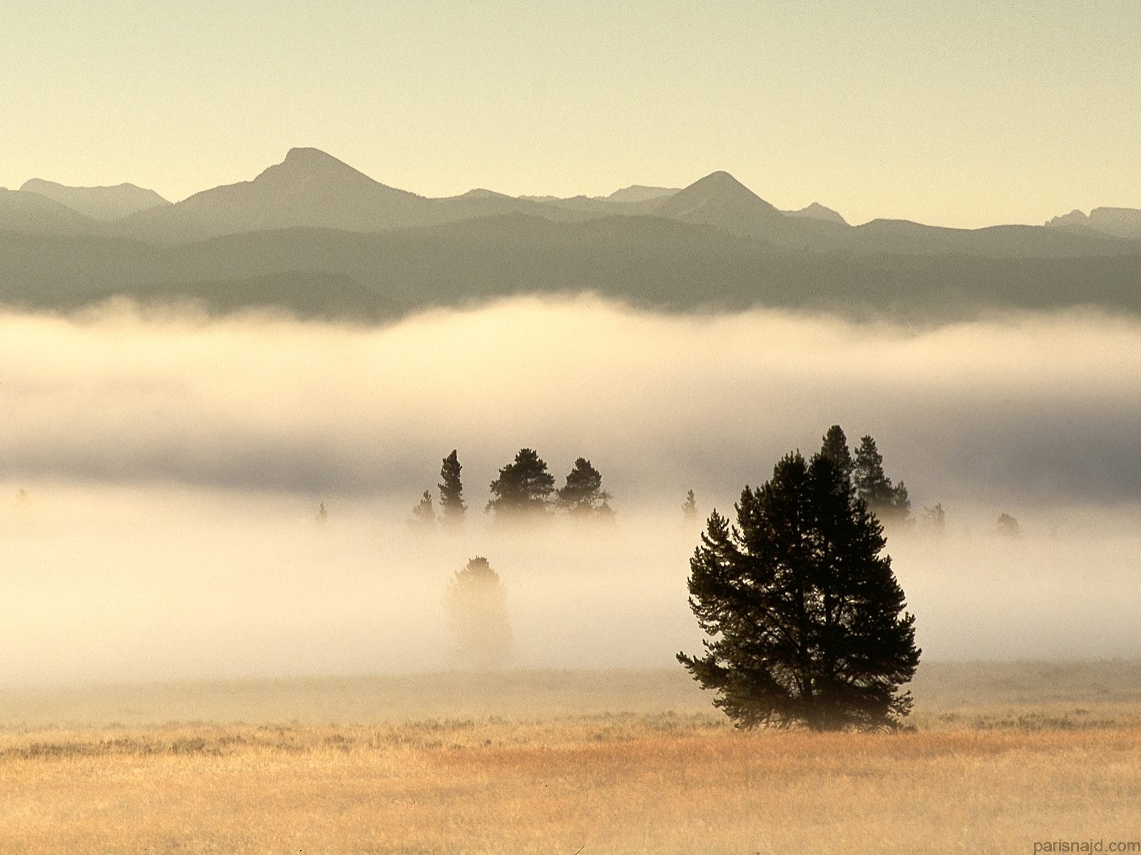 مجموعة خلفيات:شروق الشمس    Fog%20at%20Sunrise,%20Pelican%20Valley,%20Yellowstone%20Nati