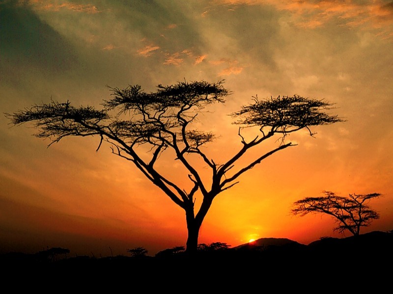 خلفيات شروق الشمس Samburu%20Hills%20Sunrise,%20Samburu%20Game%20Reservation,