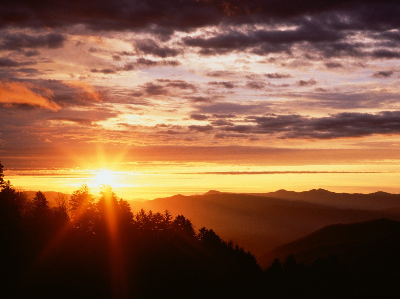 شعور بين الشروق والغروب Sunrise%20from%20Newfound%20Gap,%20Great%20Smoky%20Mountains