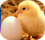 Parisnajd Wallpapers