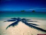 Beach And Sea wallpapers